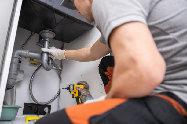 Best Garbage Disposal Repair and Installation  in Oak Grove, AL